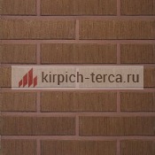 Кирпич керамический пустотелый Terca® TERRA шероховатый 250*85*65