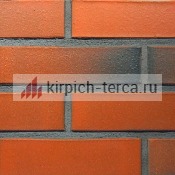 Кирпич керамический пустотелый Terca® RED гладкий 250*85*65