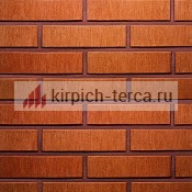 Кирпич керамический пустотелый Terca® RED шероховатый 250*85*65