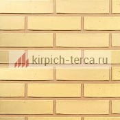 Кирпич керамический пустотелый Terca® SAFARI гладкий 250*85*65